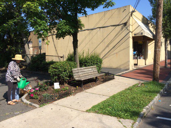 Carol Buchanan following up with watering and litter pickup on July 30, 2014.