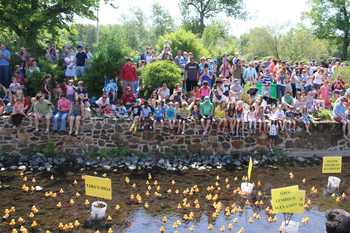 Duck Race 2015