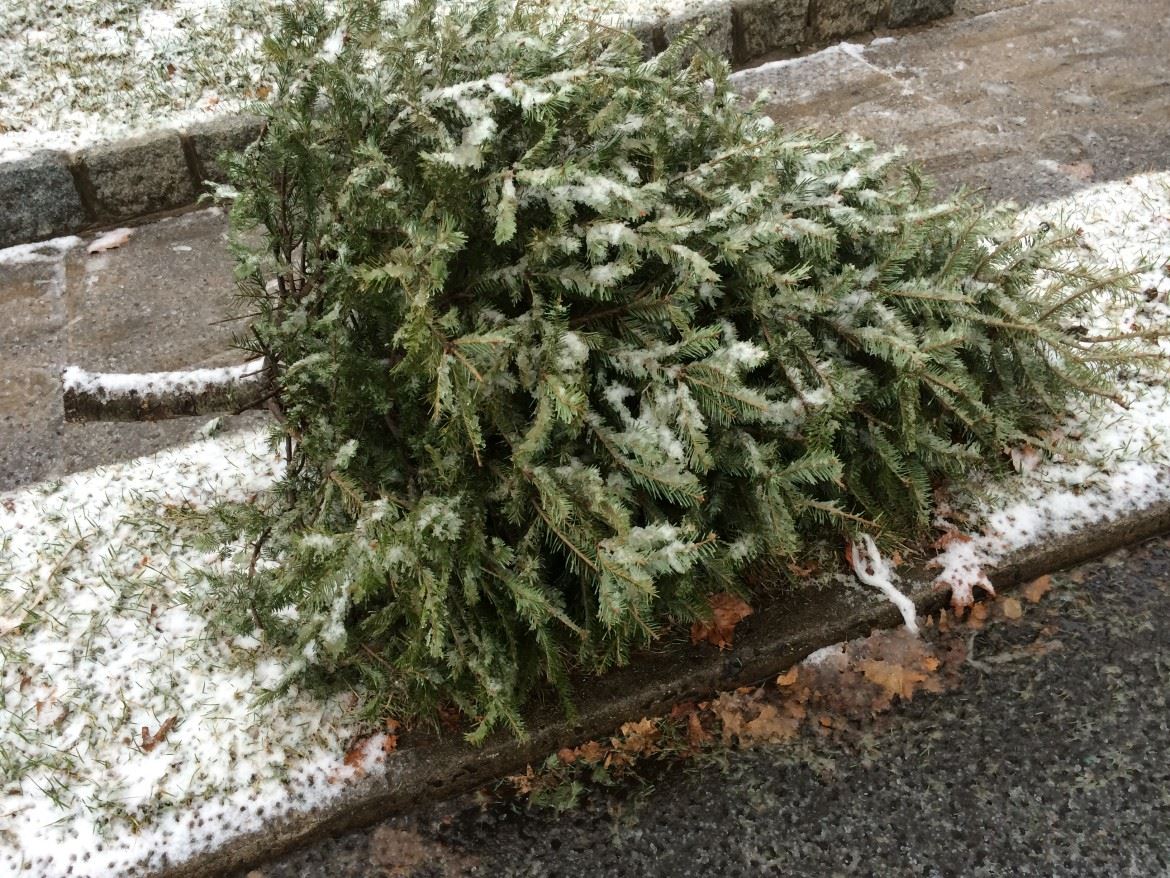 2018 Christmas Tree Pick Up In Maplewood & South Orange - The Village Green