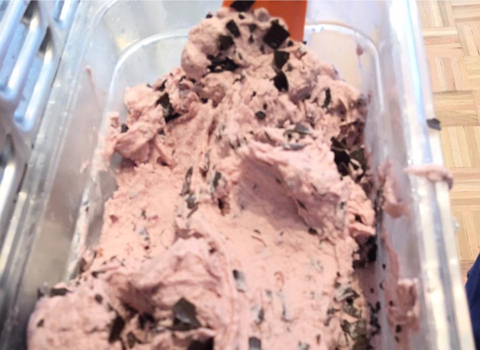 Lickt Gelato in Maplewood Celebrating National Ice Cream Day The