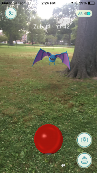 Pokemon spotted in Maplewood's Maplecrest Park. Photo by Suzie Mann