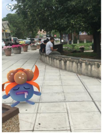 A Pokemon spotted in South Orange Village Center's Spiotta Park