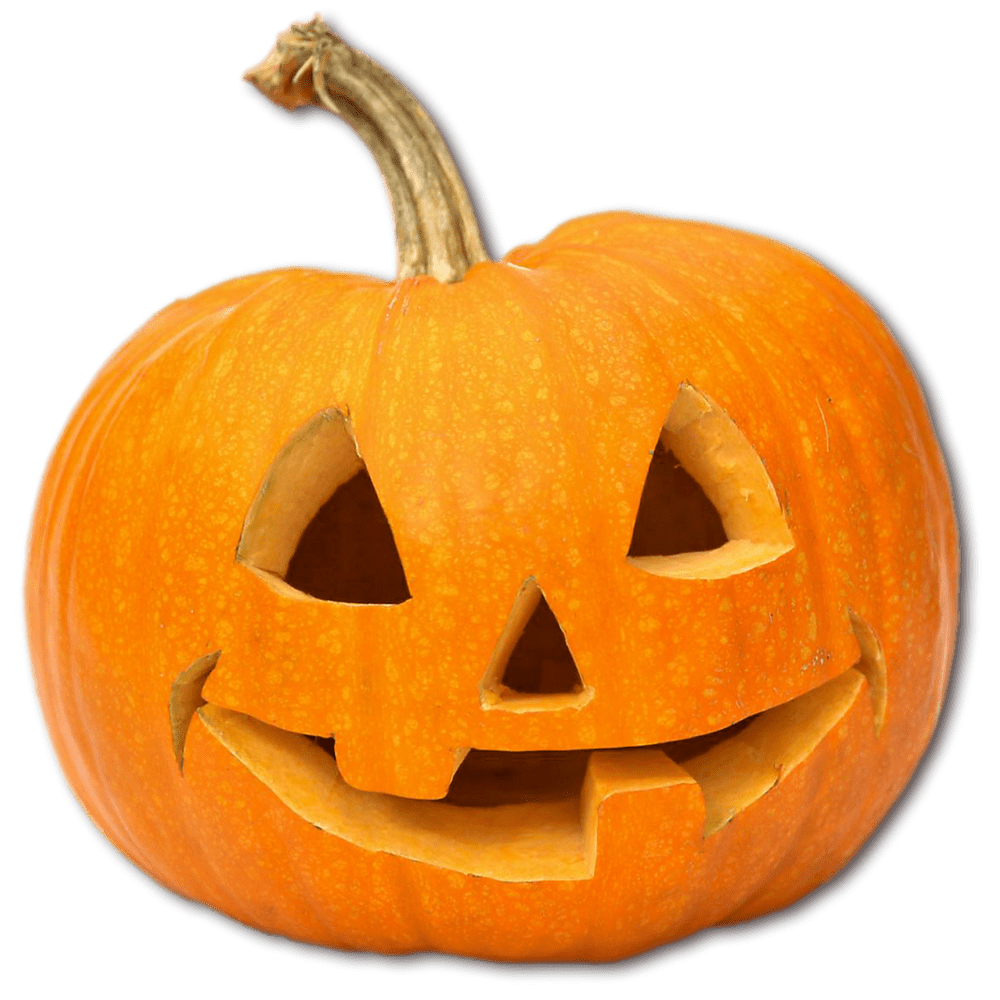 Image result for pumpkin