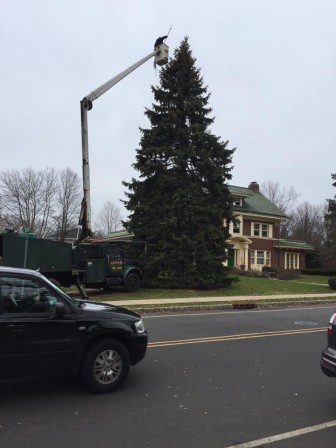 Prospect Tree being decorated on December 8, 2016