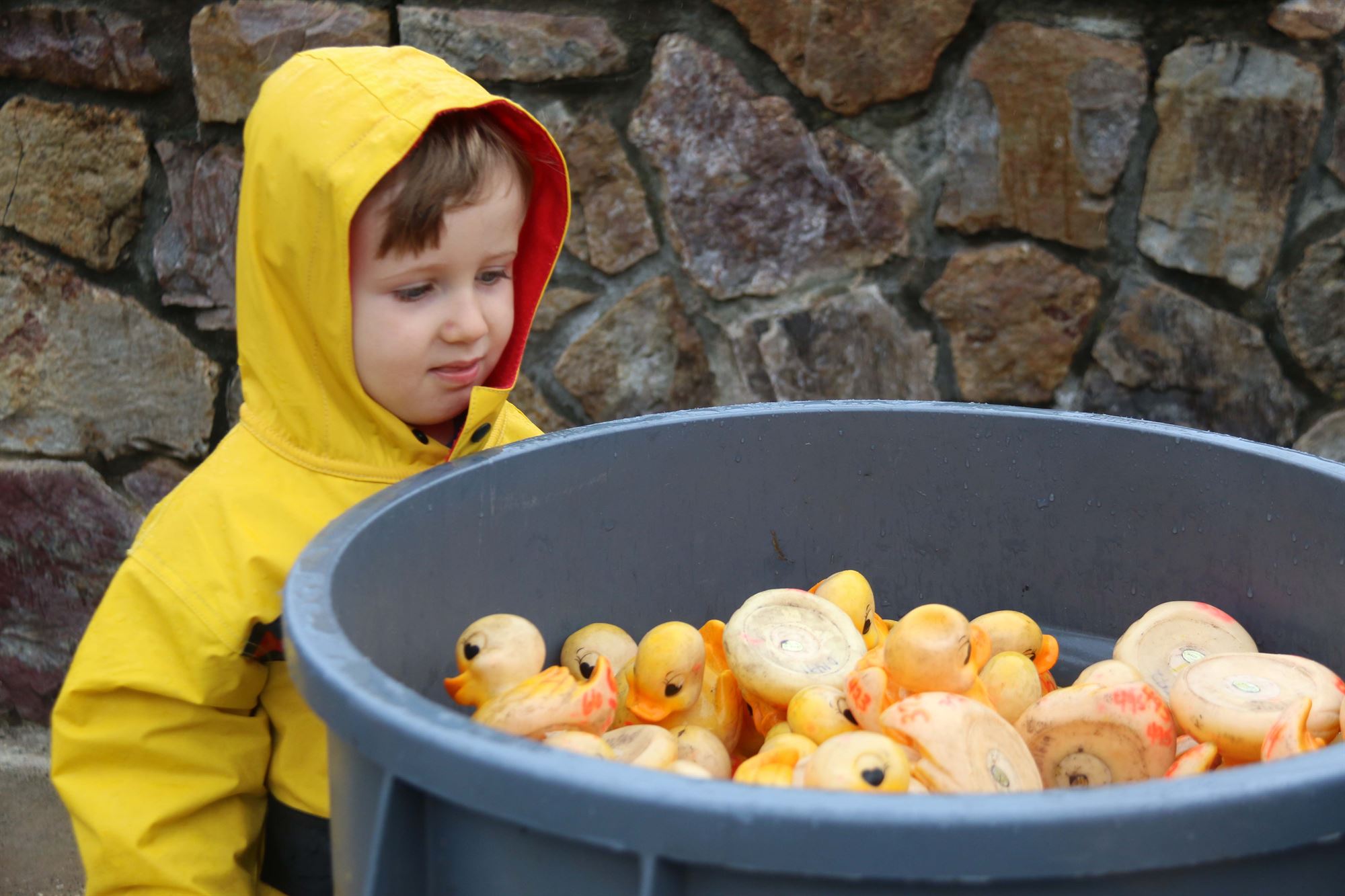 PHOTOS: A Little Rain Can't Wash Out Maplewood Duck Race - The Village 