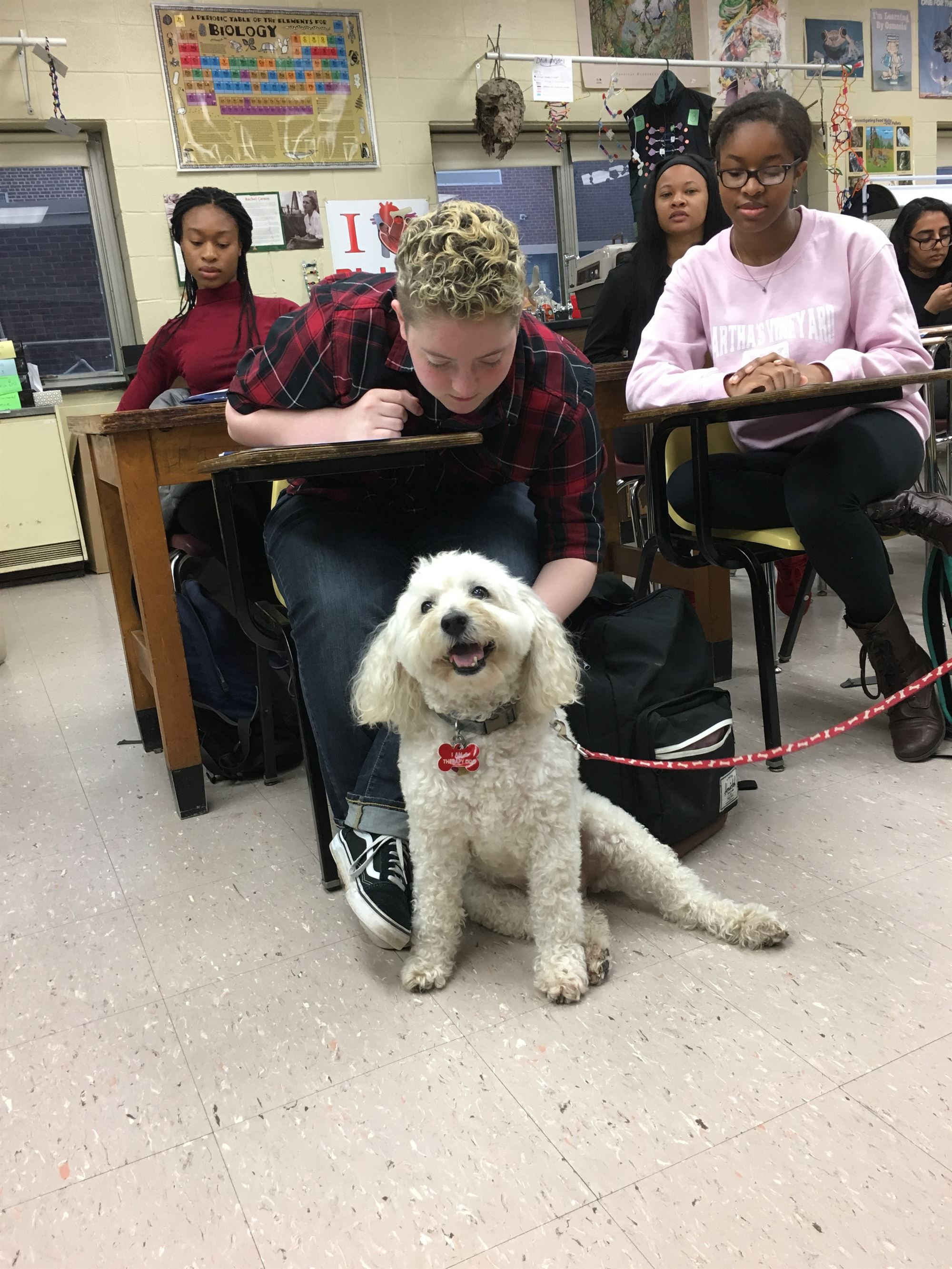 Cobey Comes to Columbia for a Furry Day at High School The Village Green