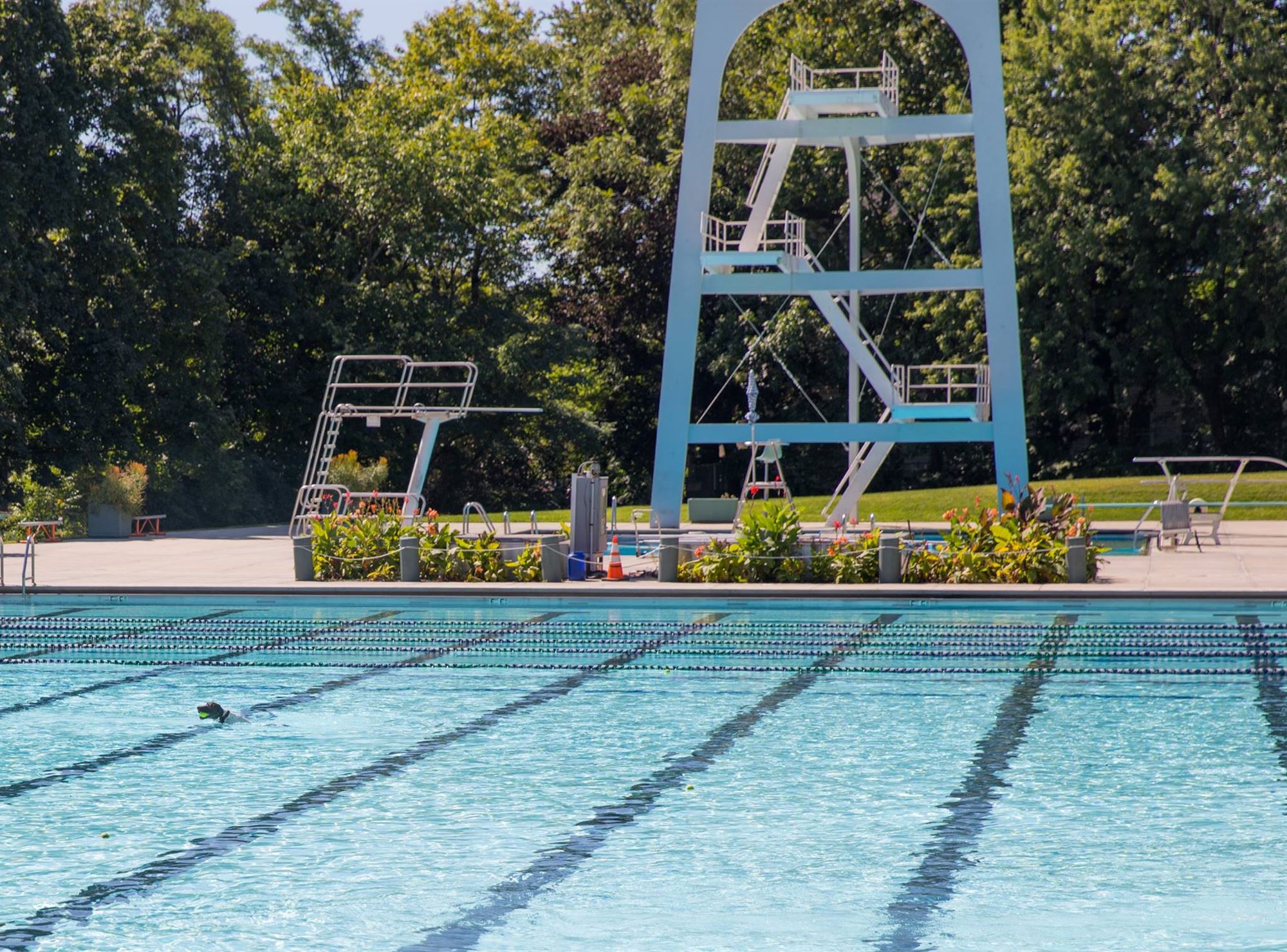 Maplewood Pool Fees Proposed To Increase After 5 Years At Same Rate The Village Green