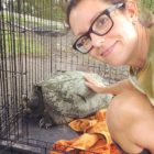 Linda Beck pets a turtle