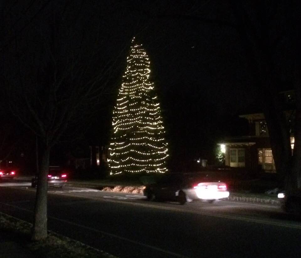 'Prospect Tree' in Maplewood Lights the Night for Neighbors The