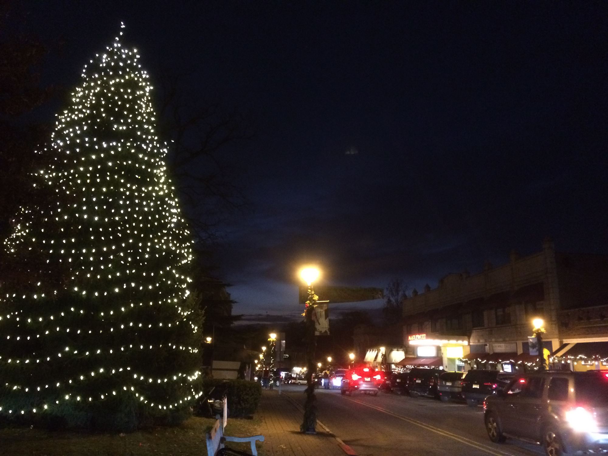 PHOTOS: Maplewood Kicks Off Holiday Season With Village Tree Lighting ...