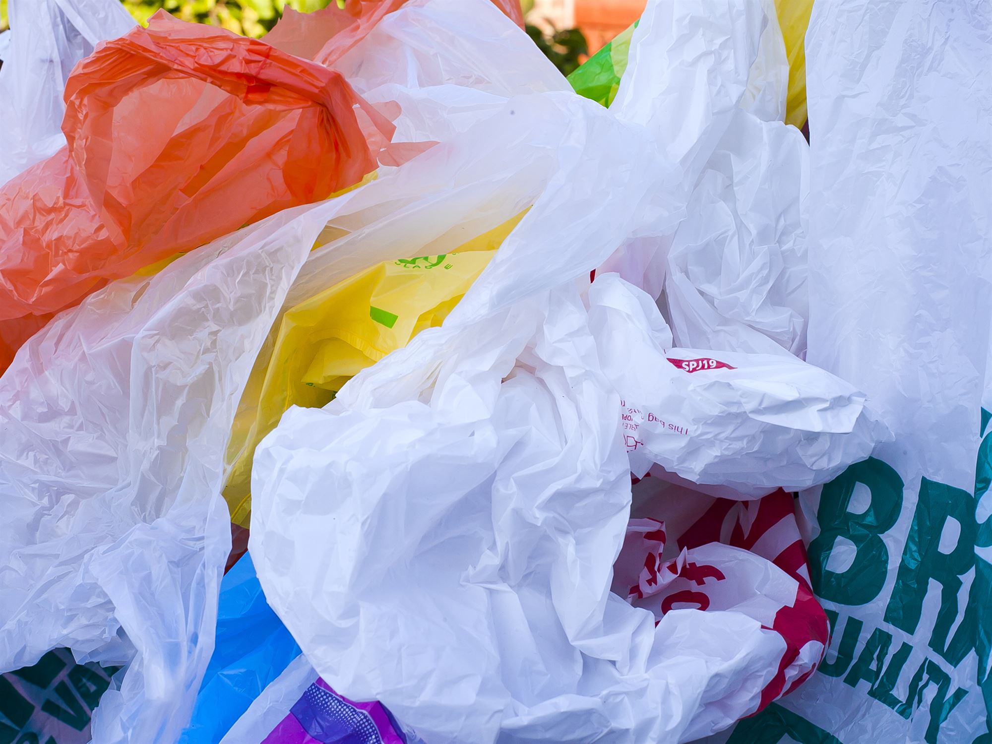 Maplewood Moves Closer to Total Ban on Plastic  Bags   and 