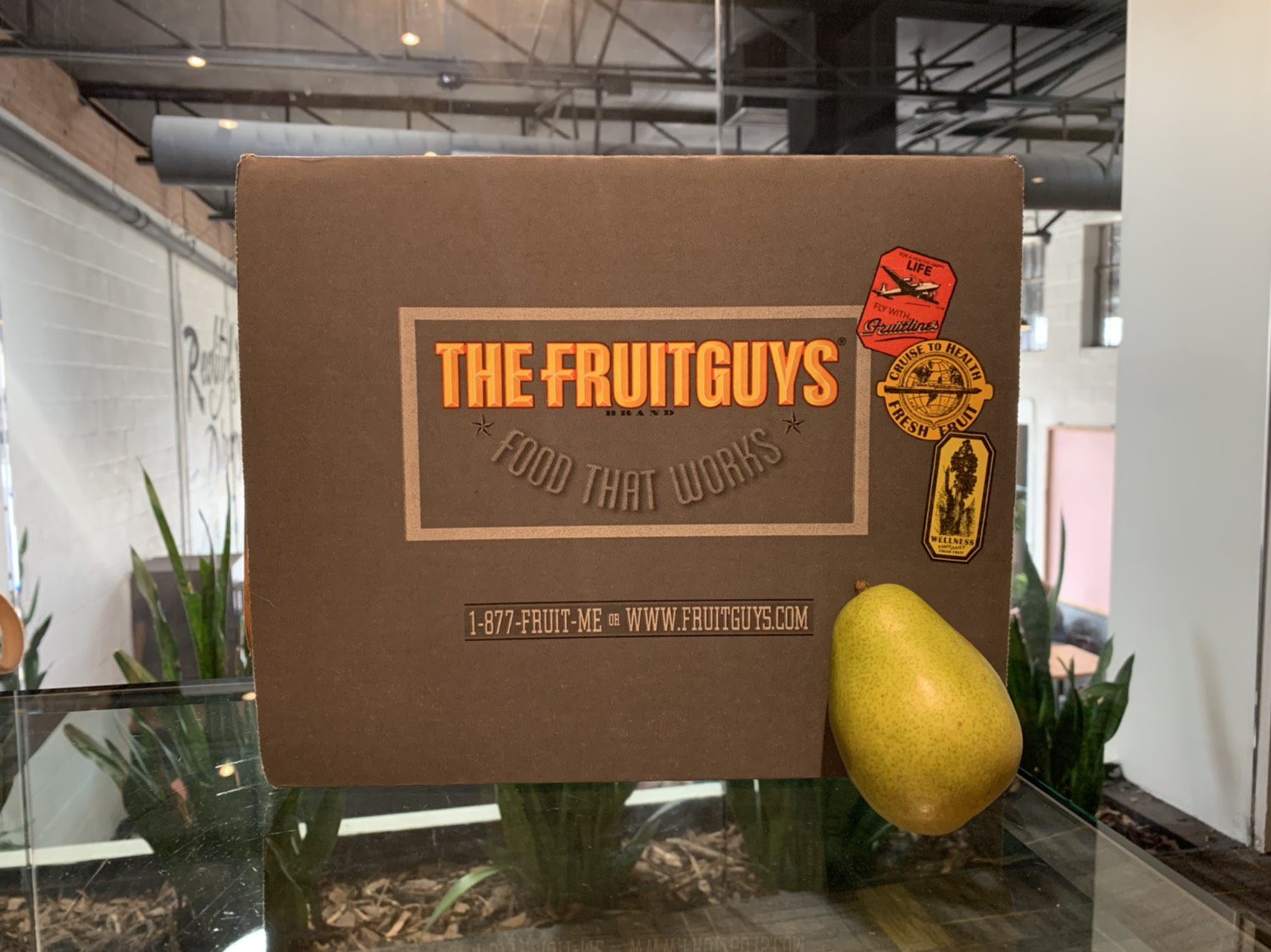 https://villagegreennj.com/wp-content/uploads/2020/04/FruitGuys-social-med-pear.jpg