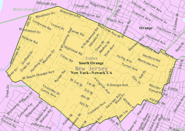 South Orange Black History Month The Black Family Representation