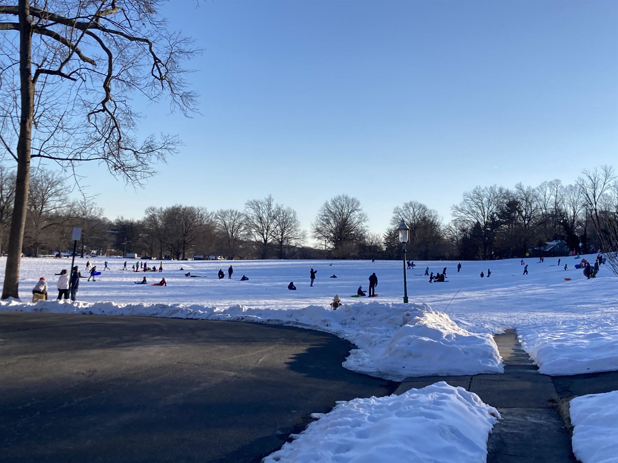 South Orange to Host Zoom on ChemicalFree Lawn Care Feb. 26 The