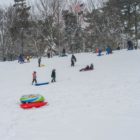 Sledders on a hill