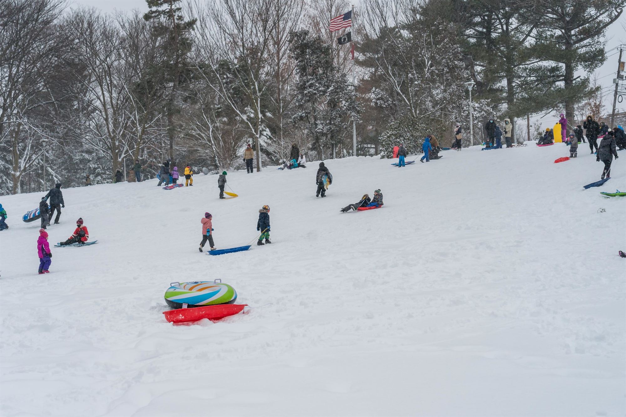 Sledders on a hill