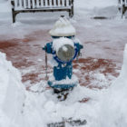 Blue Maplewood fire hydrant cleared of snow