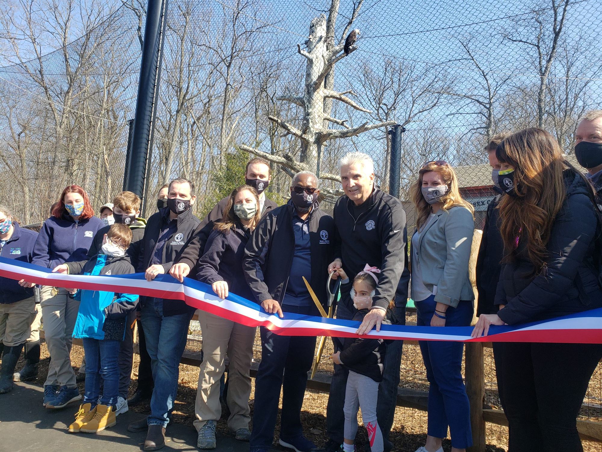 Essex County Opens New Bald Eagle Exhibit at Turtle Back Zoo - The