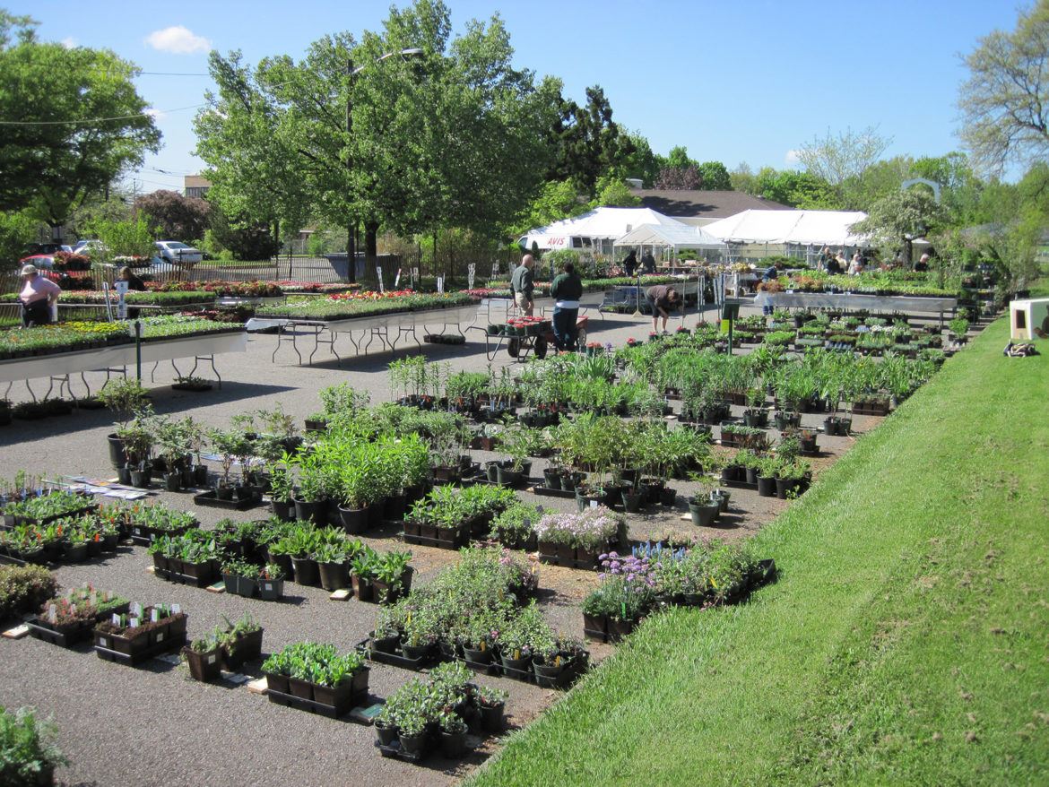 Maplewood Garden Club's 84th Annual Plant Sale—LAST DAY! The Village