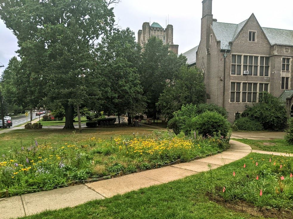 PHOTOS: Columbia HS Students Design and Plant Vibrant New Wildflower Garden