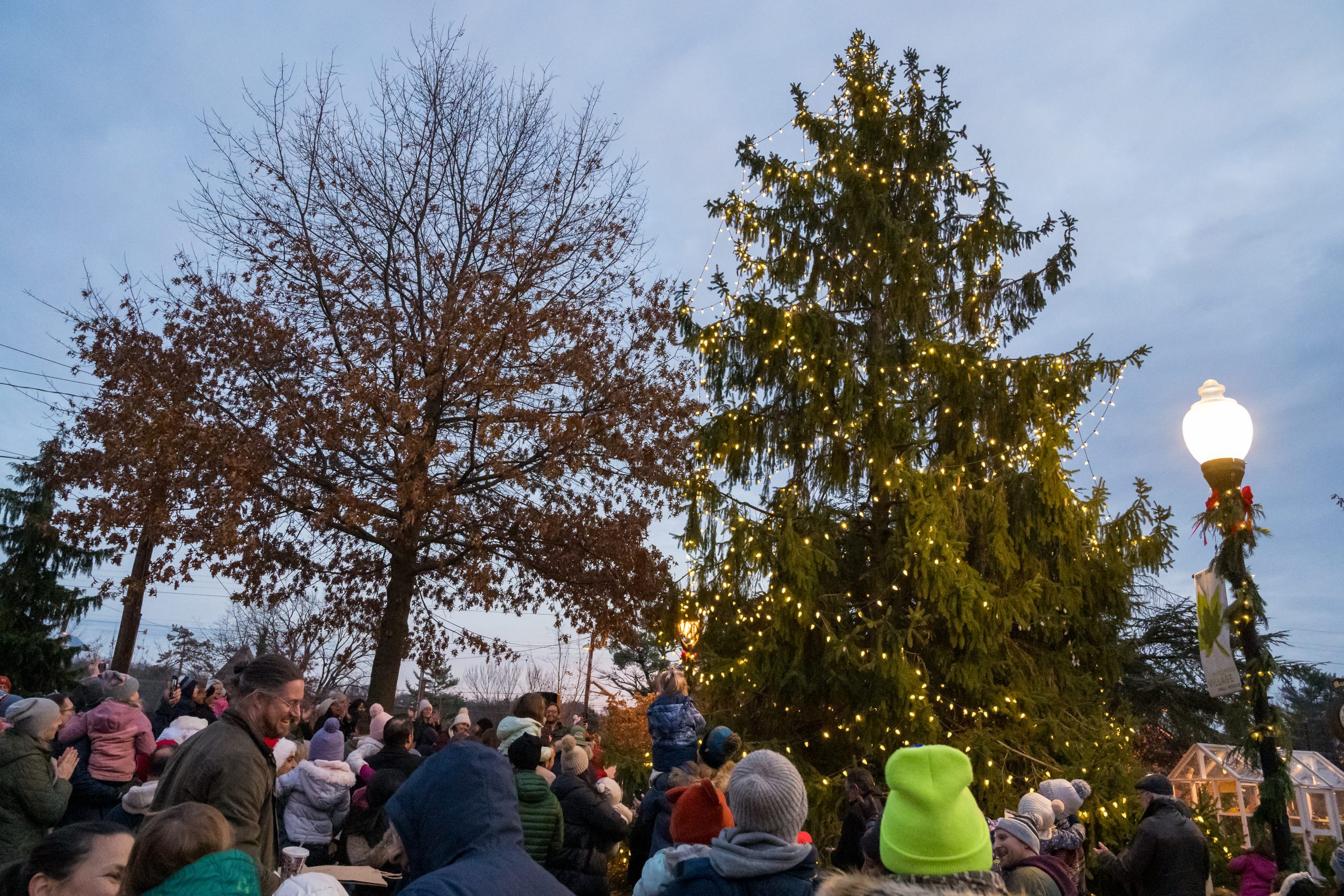 PHOTOS Maplewood Village Holiday Tree Lighting The Village Green