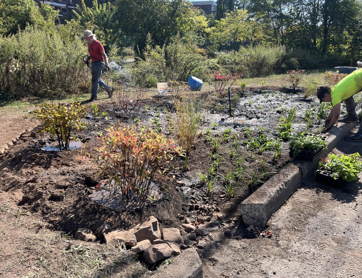 South Orange Accepting Applications for At-Home Rain Gardens