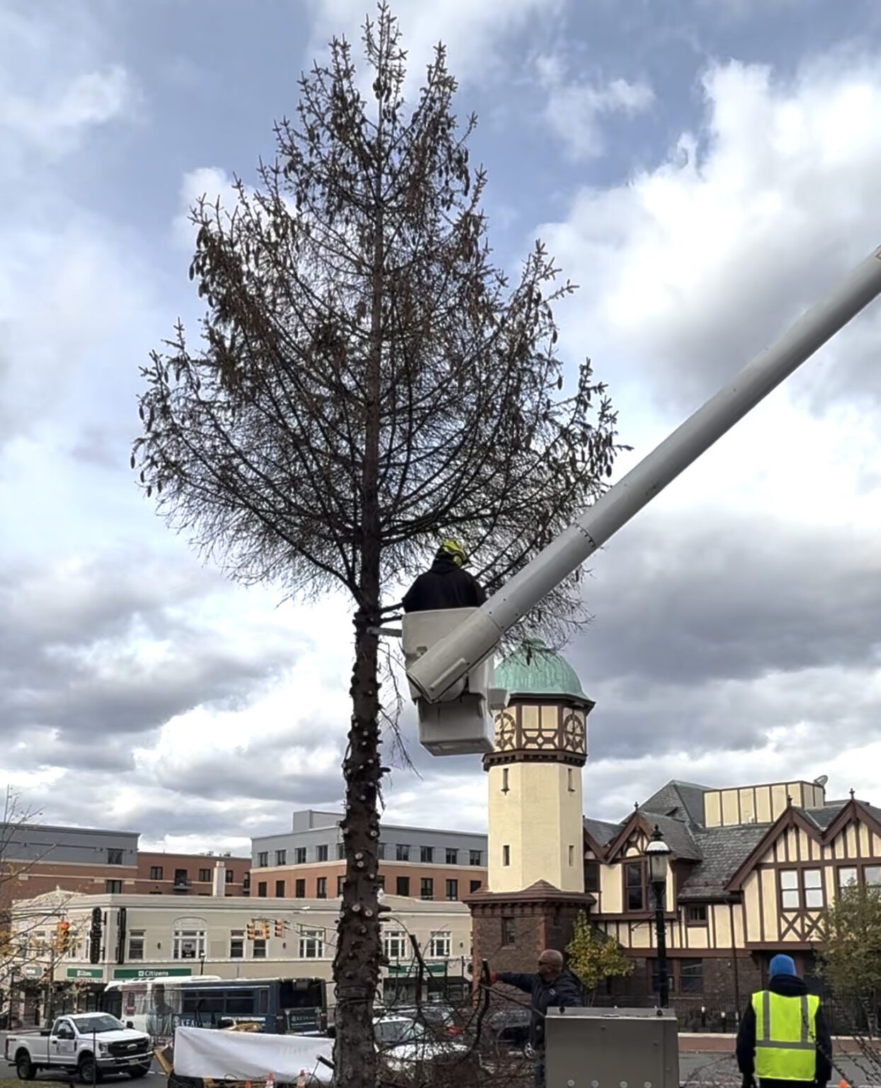 South Orange Loses Longtime 'Holiday' Tree — Working to Move Tree ...
