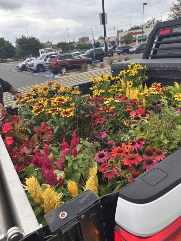 SOMA Tool Shares SOMS Garden